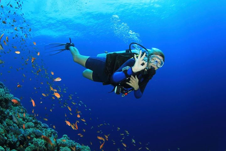 Belize SCUBA Diving Adventures