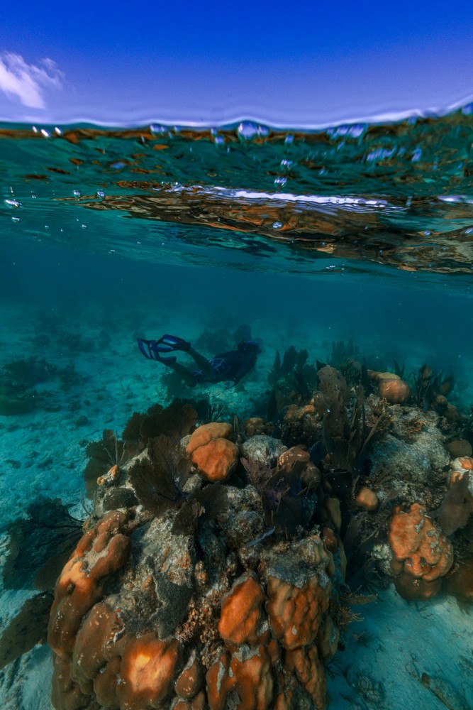 Belize Adventures at Long Caye