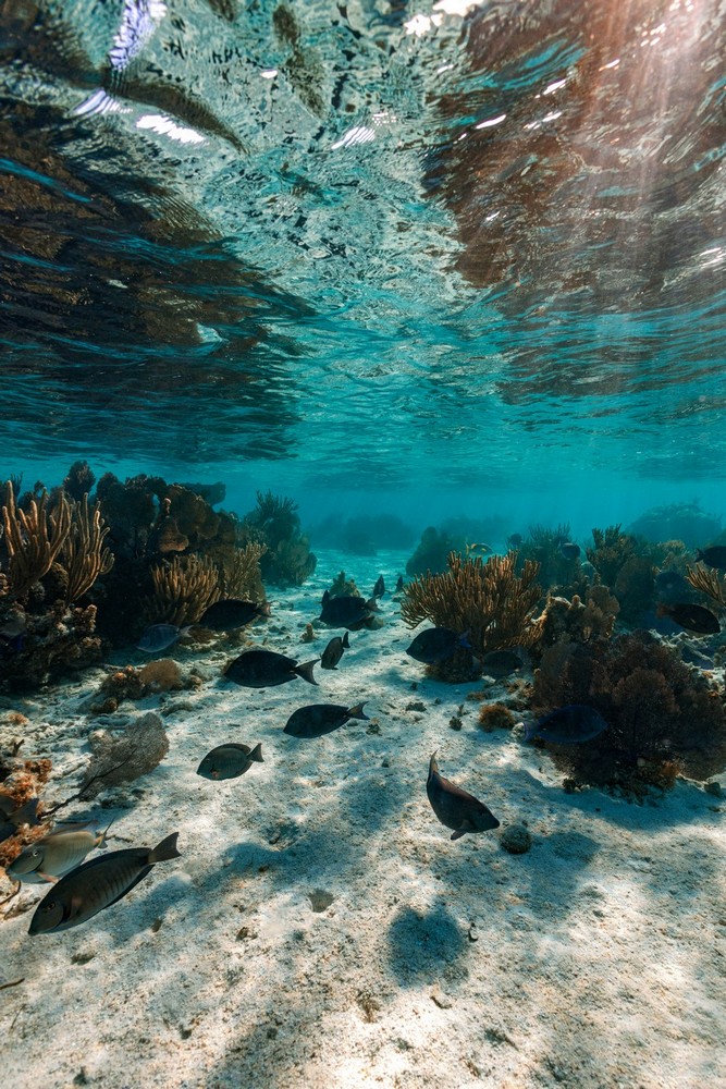 Belize Adventures at Long Caye